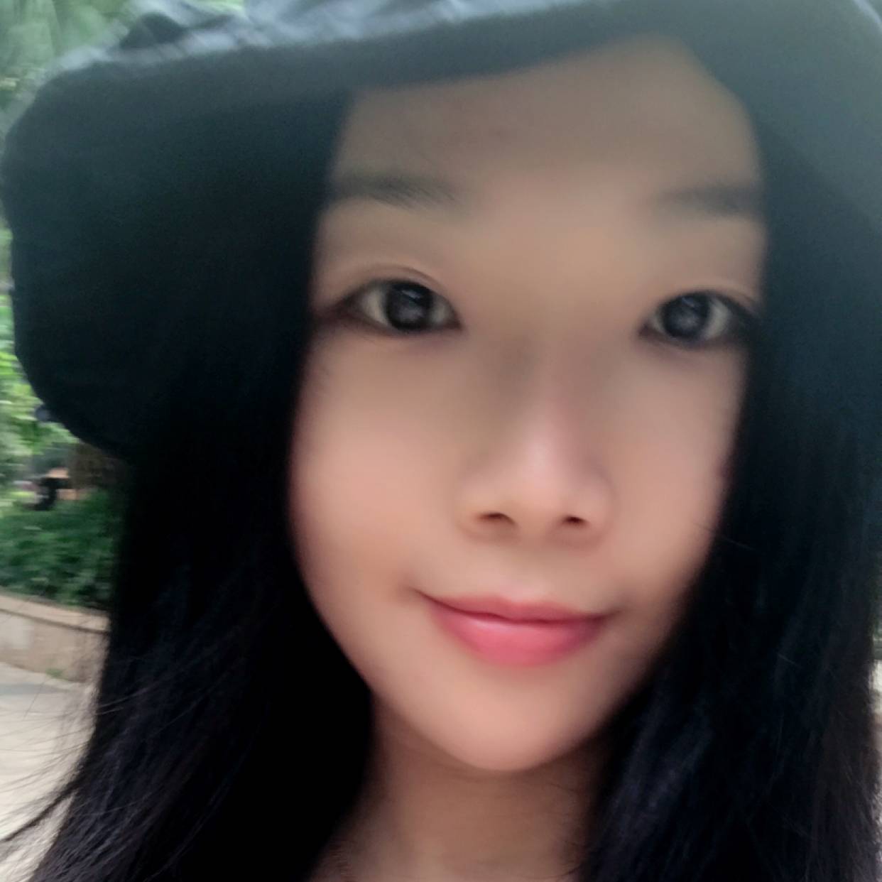 迷人請荷花的照片