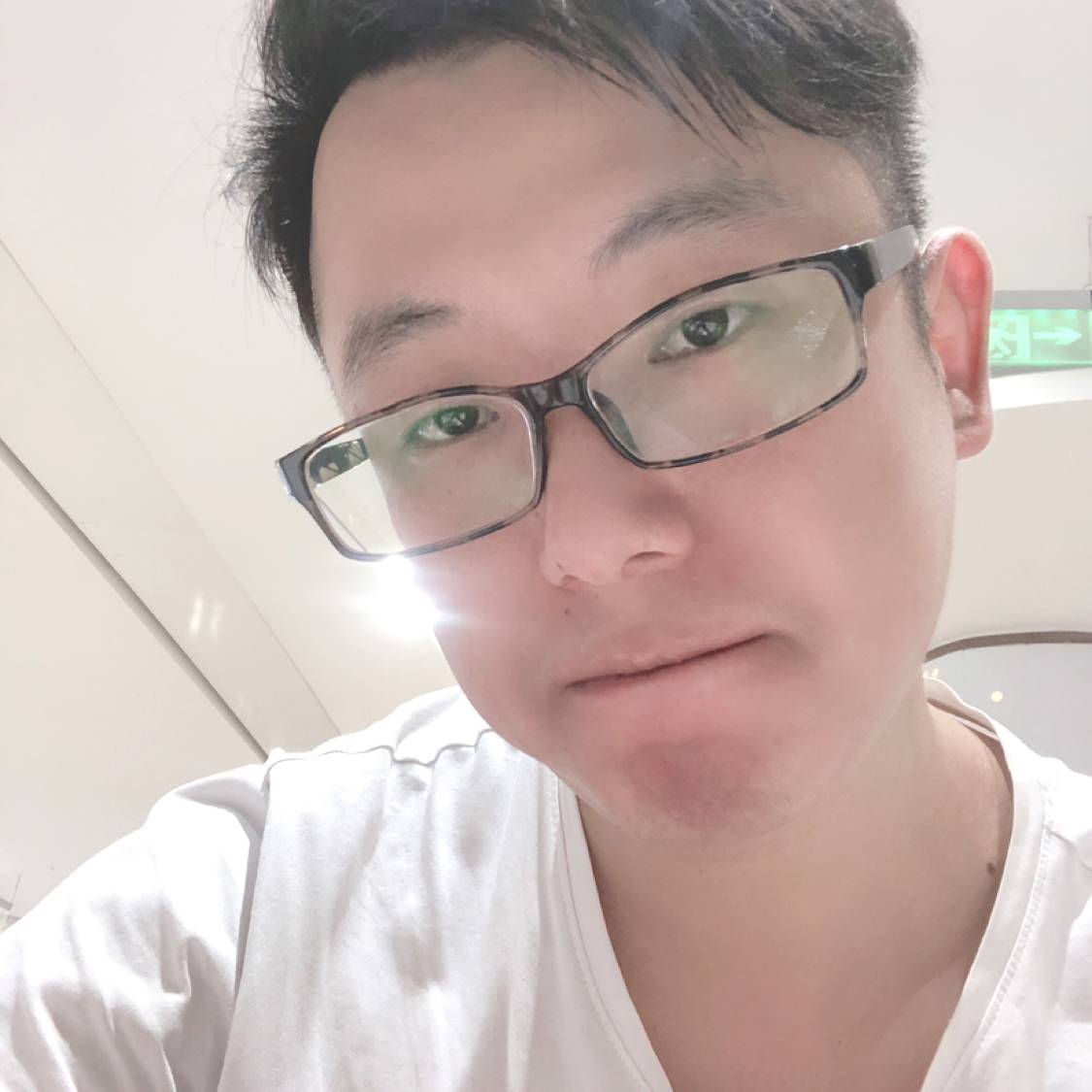 优雅多么蜻蜓的照片