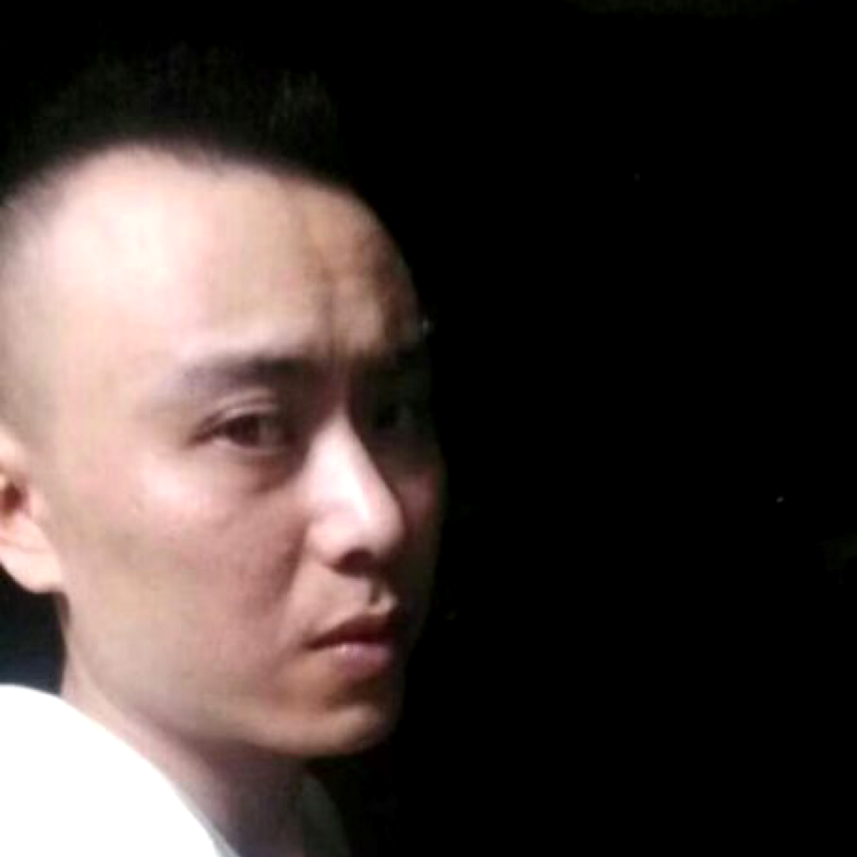 翩飞回眸蝶舞的照片