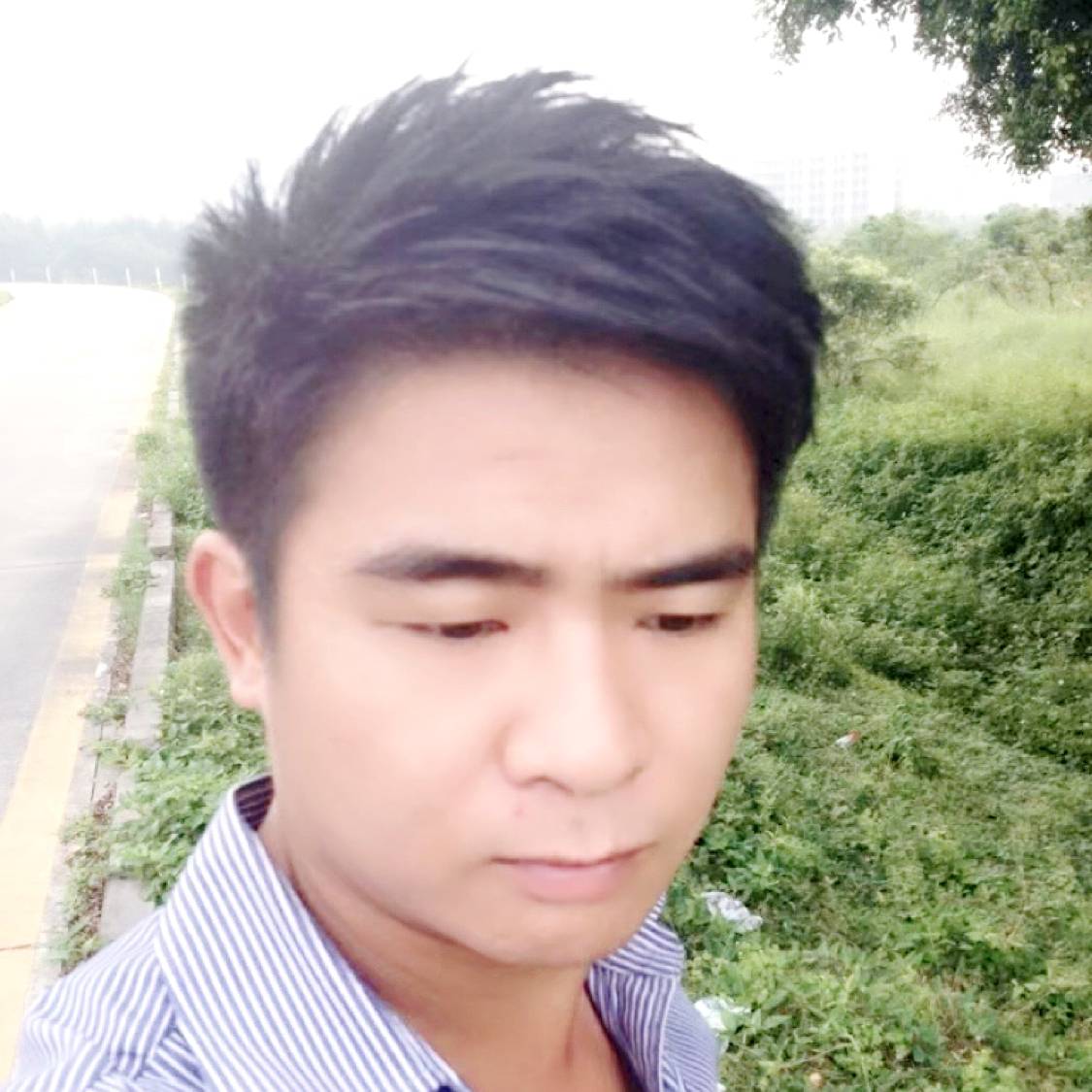 尼泊尔的老鹰的照片