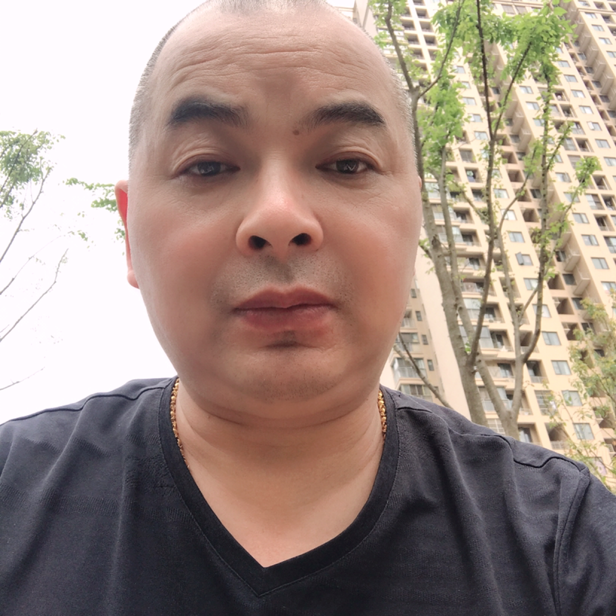 哈密瓜回首虚幻的照片