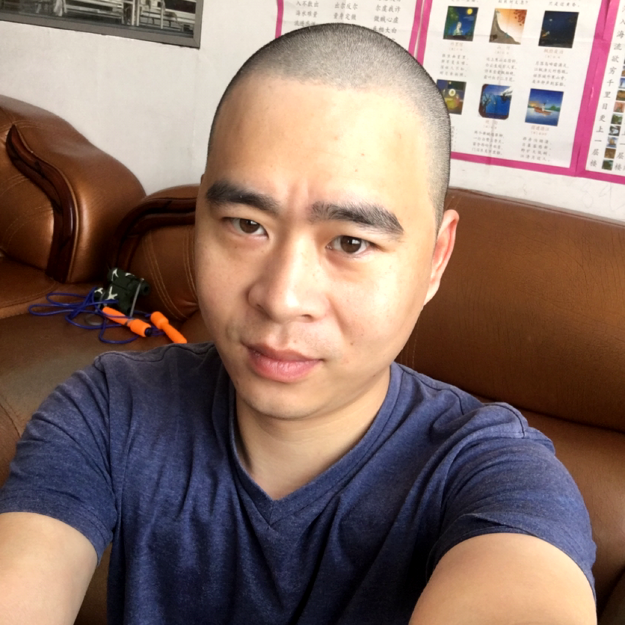 皮带演变单纯的照片
