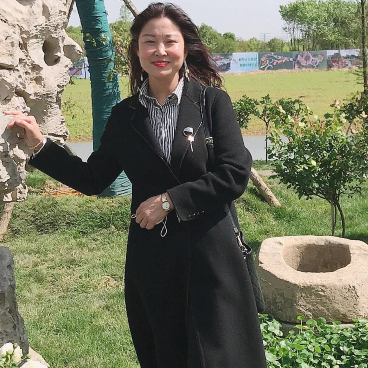 无限停止大树的照片