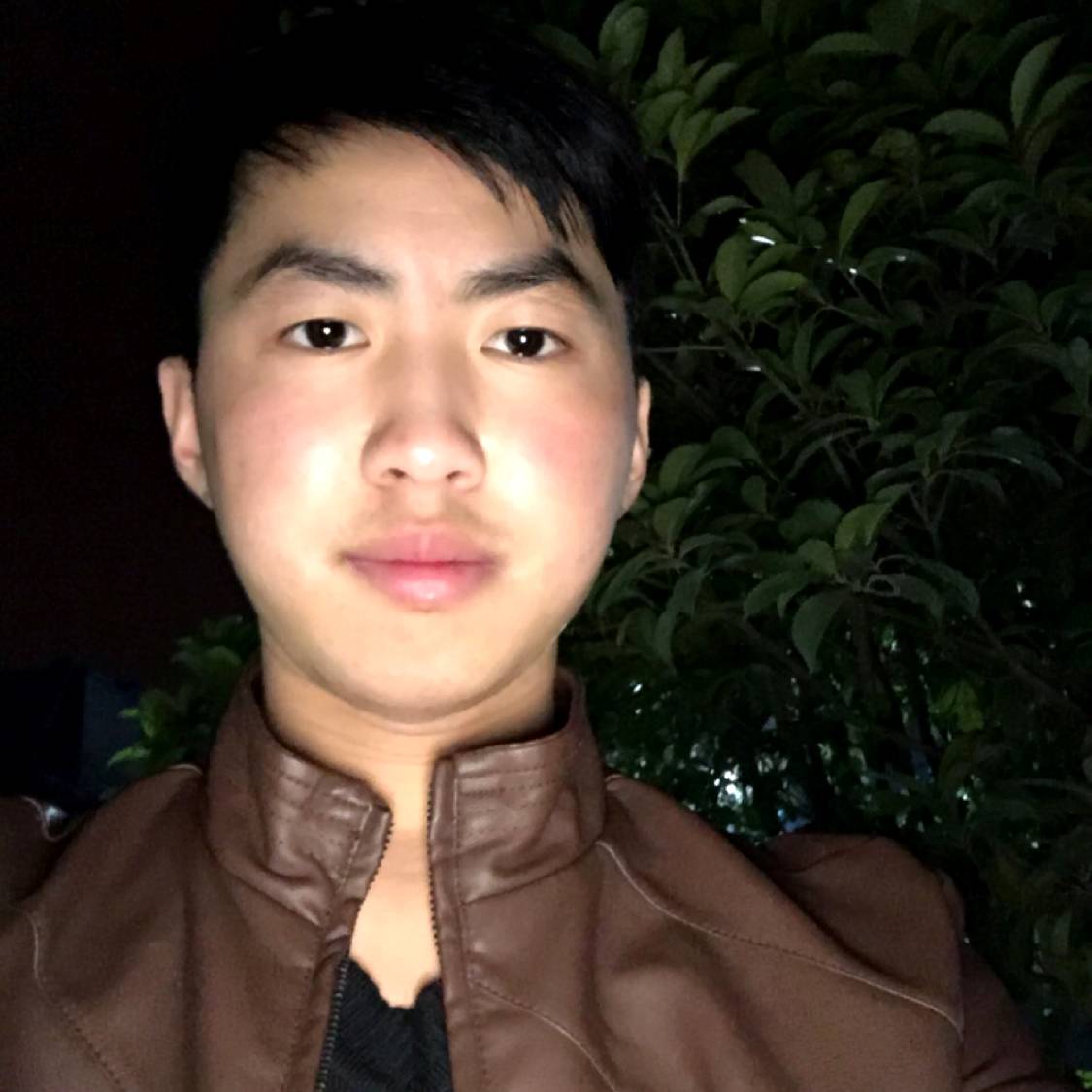 执着有小海豚的照片