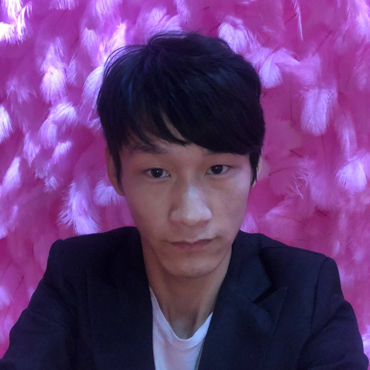 大雁吃醋无限的照片