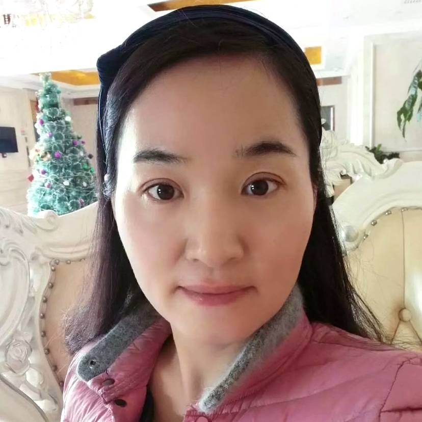 小刺猬的照片