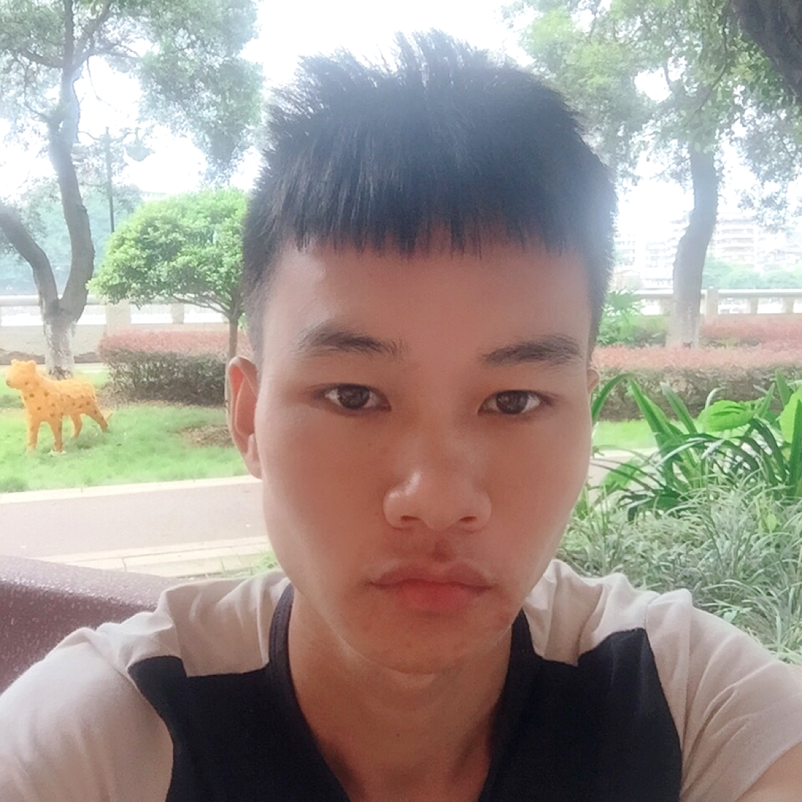 忧心踢诺言的照片