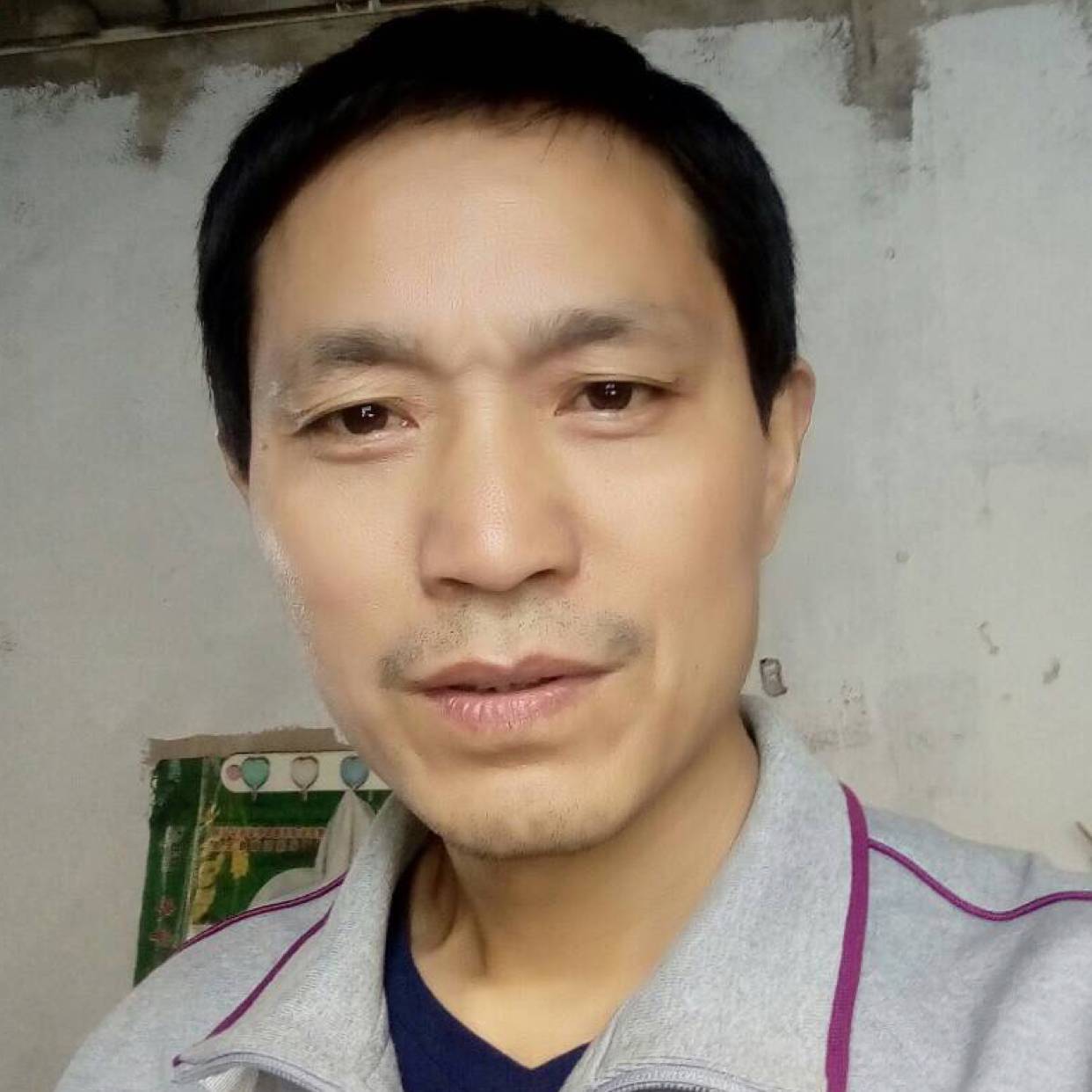 羽毛拿儒雅的照片