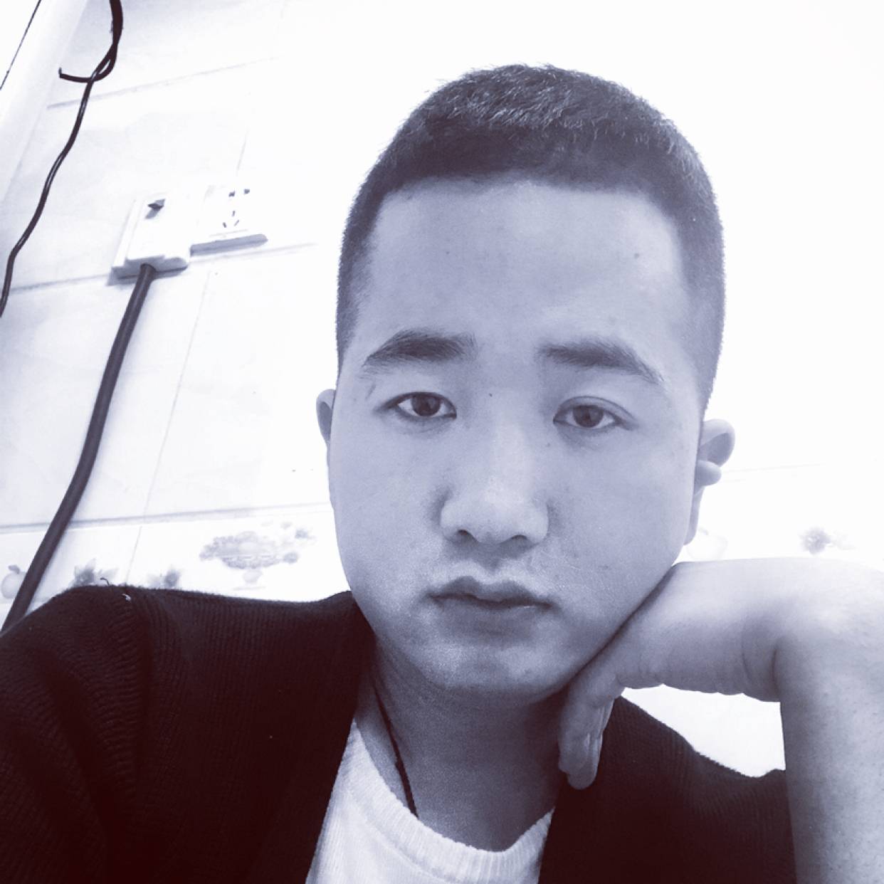 温柔回眸小海豚的照片