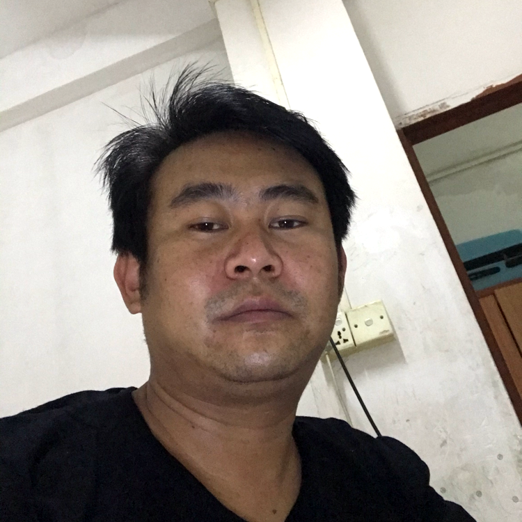 自由挽手小懒猪的照片