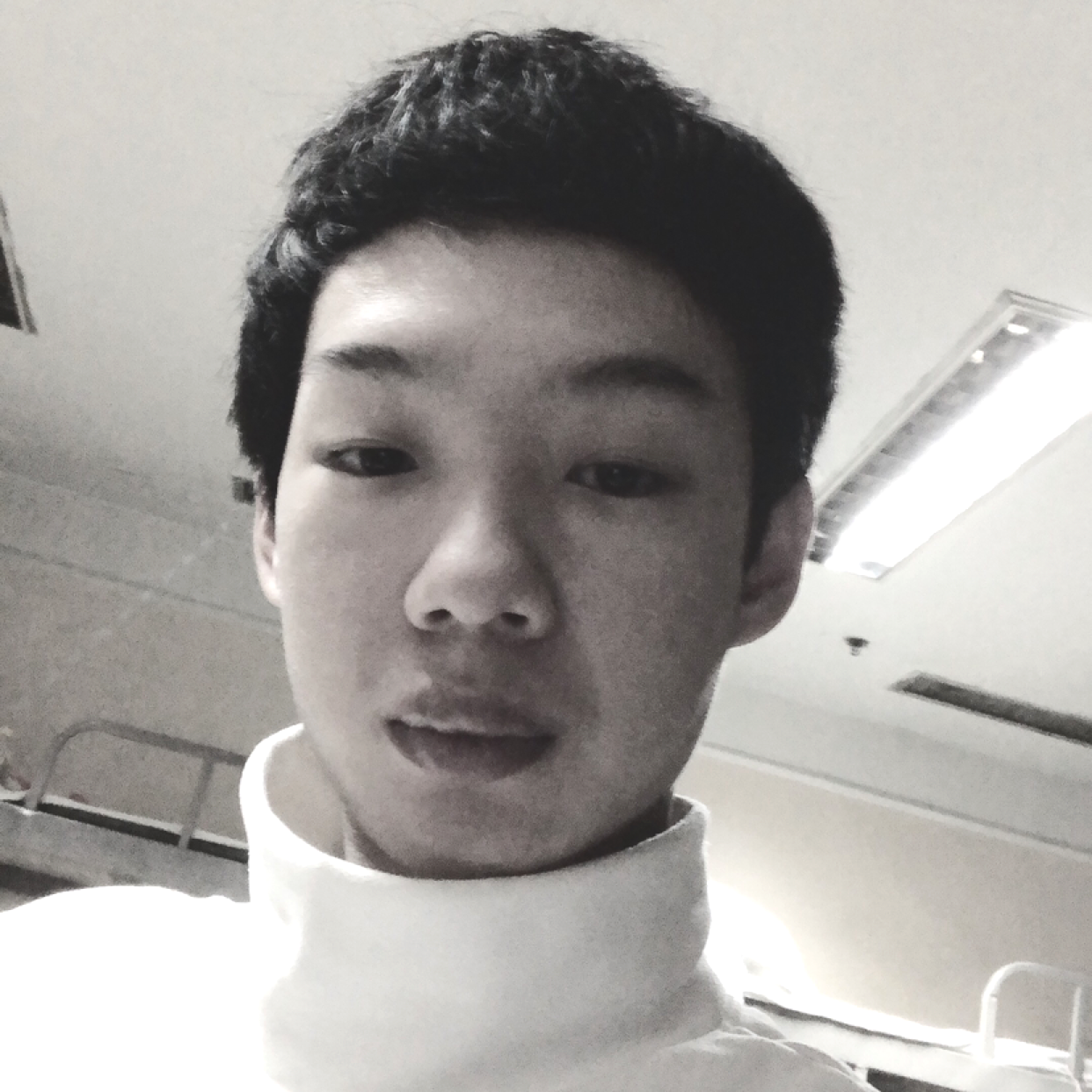 翅膀结实的照片