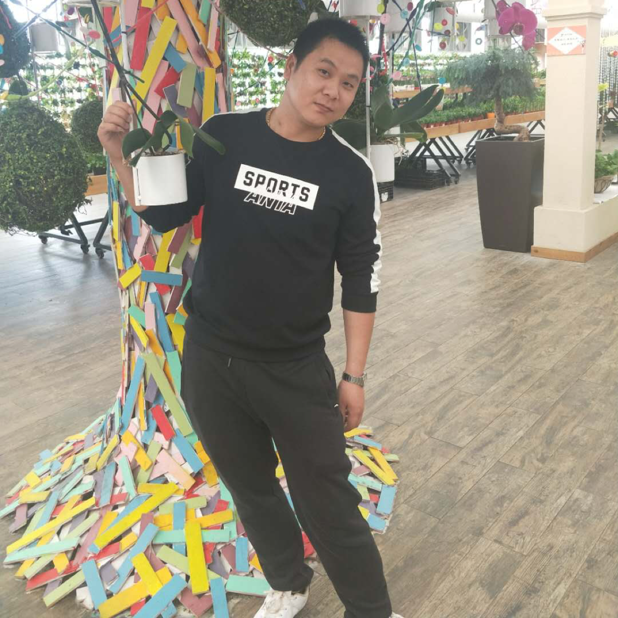 夜梦星魂的照片