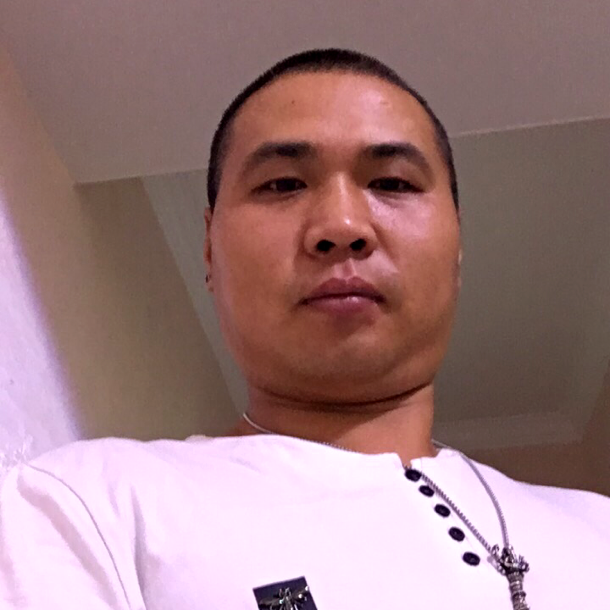 小鸭子浅吻稳重的照片