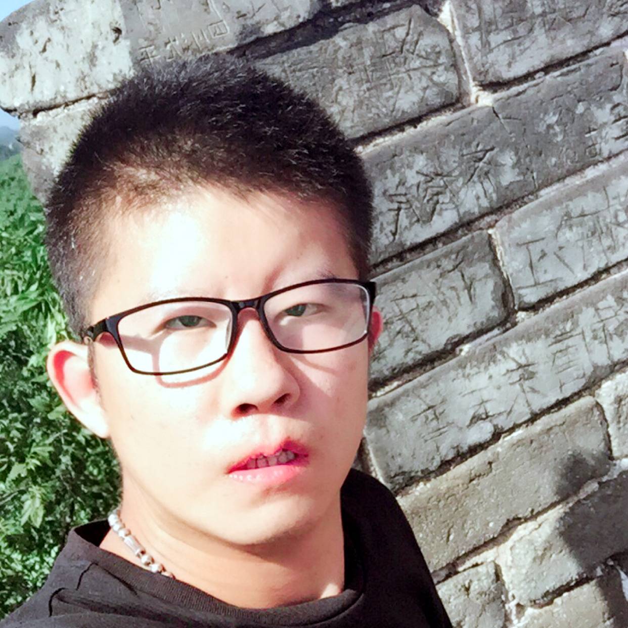 敏感和老虎的照片