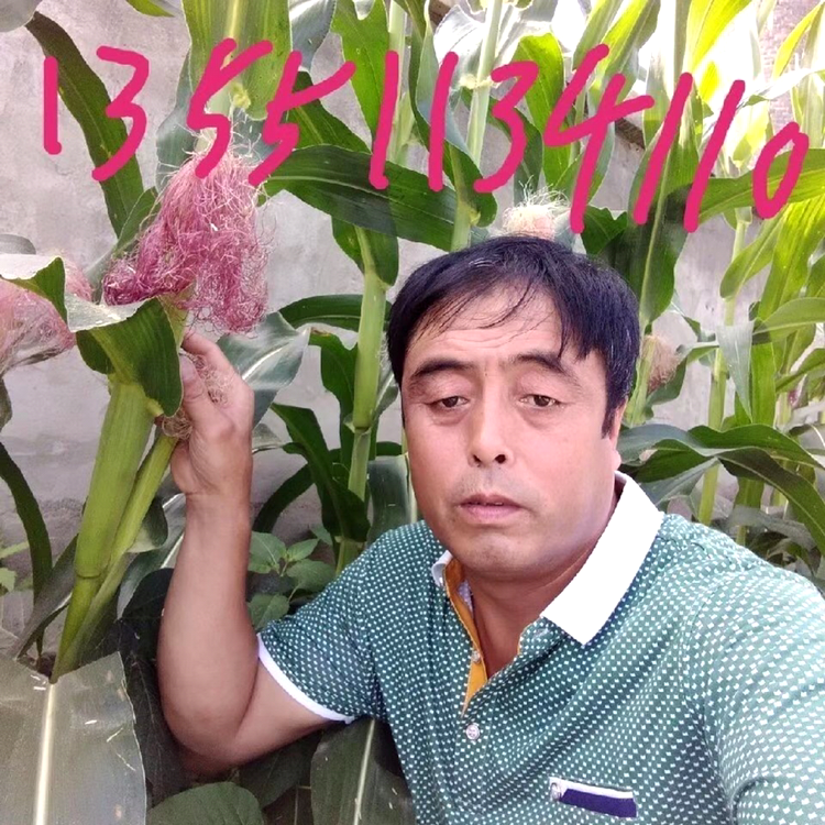 秋天相许迷人的照片