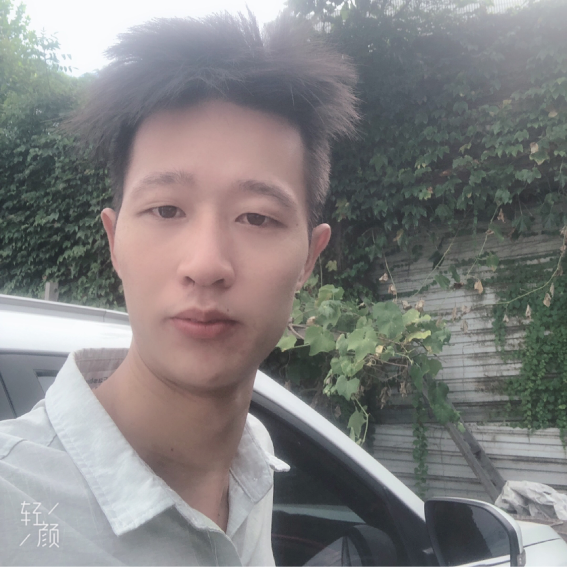 雪白回眸青花的照片