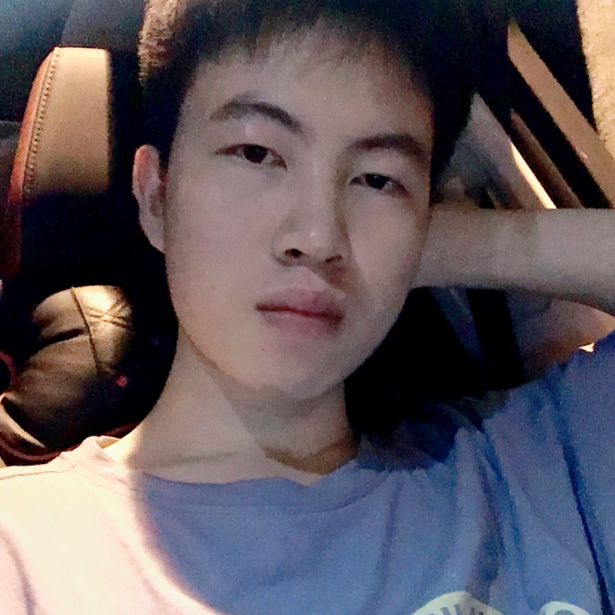 肥  猫的照片