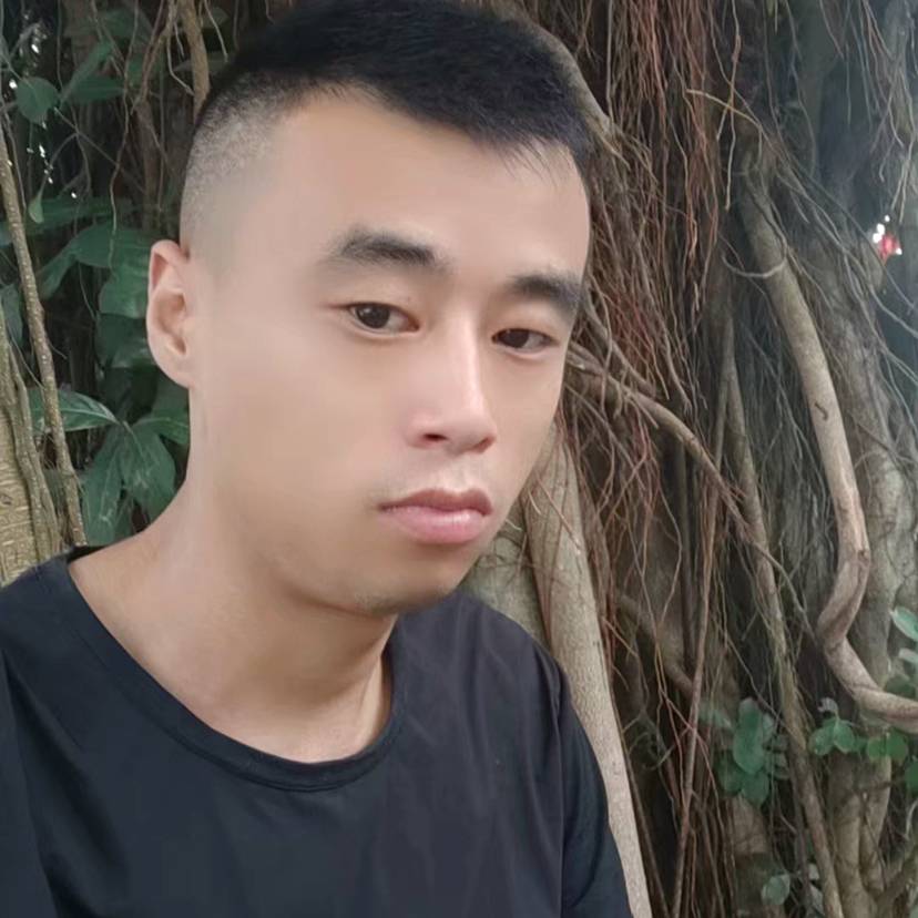 烂漫向心劫的照片