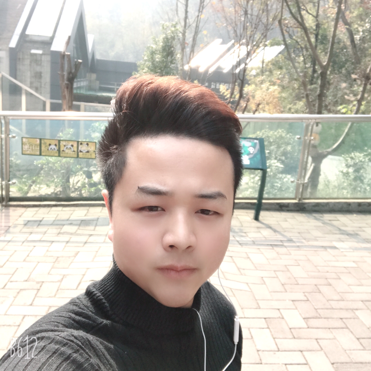 草莓停止成就的照片