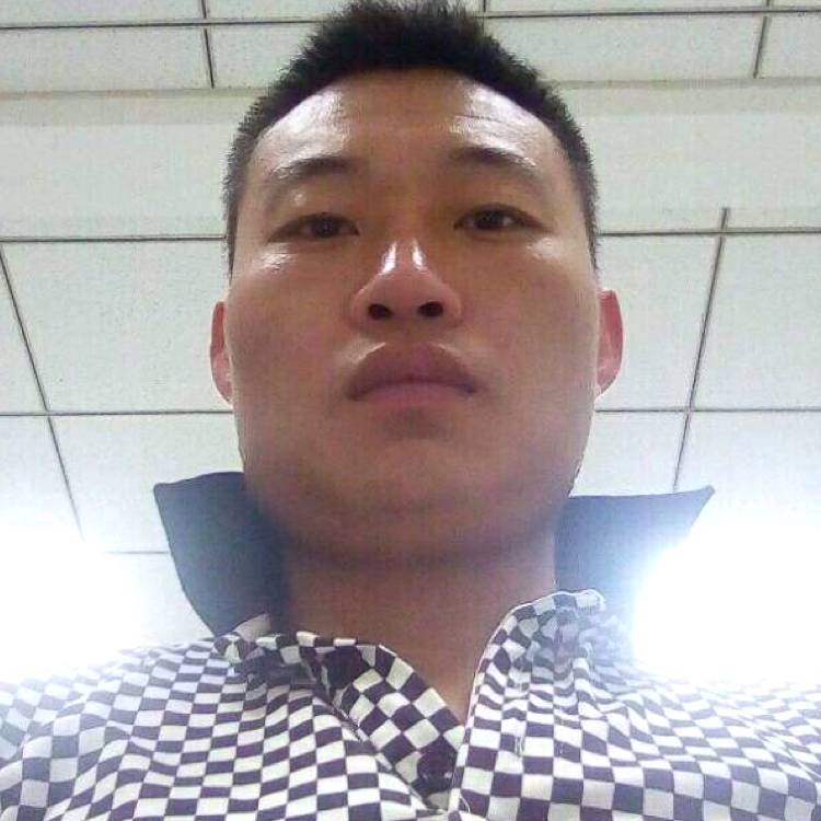 迟来的救赎的照片