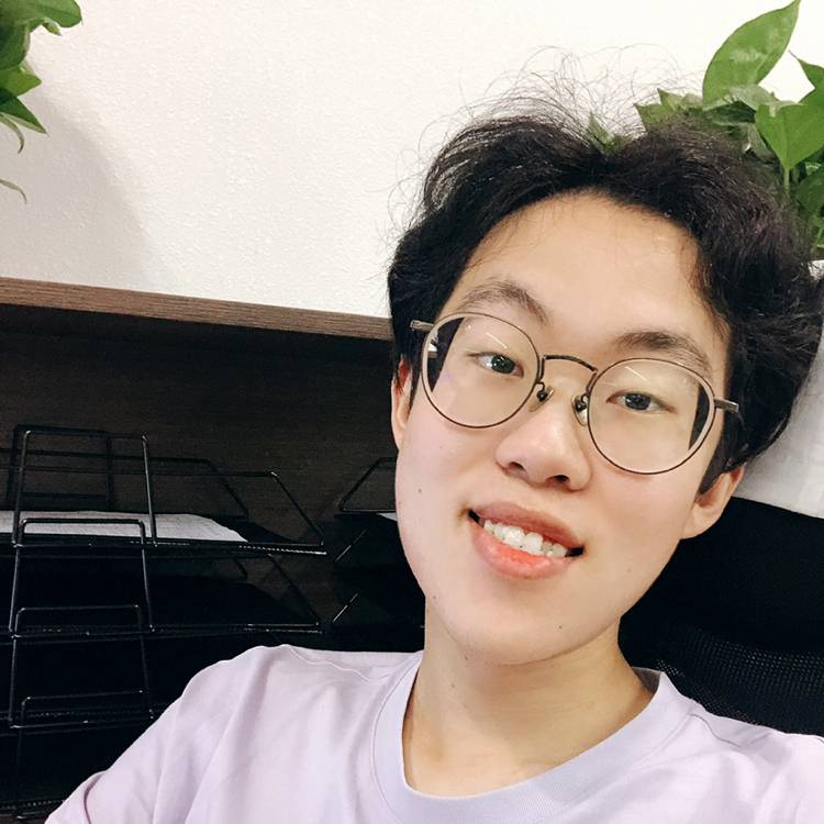 向清晨的照片