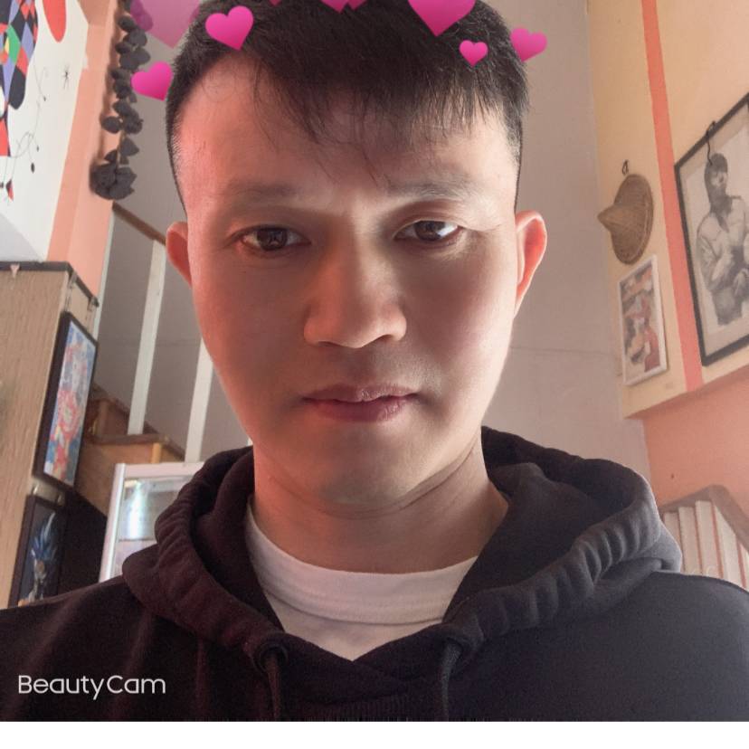 虚拟和向日葵的照片