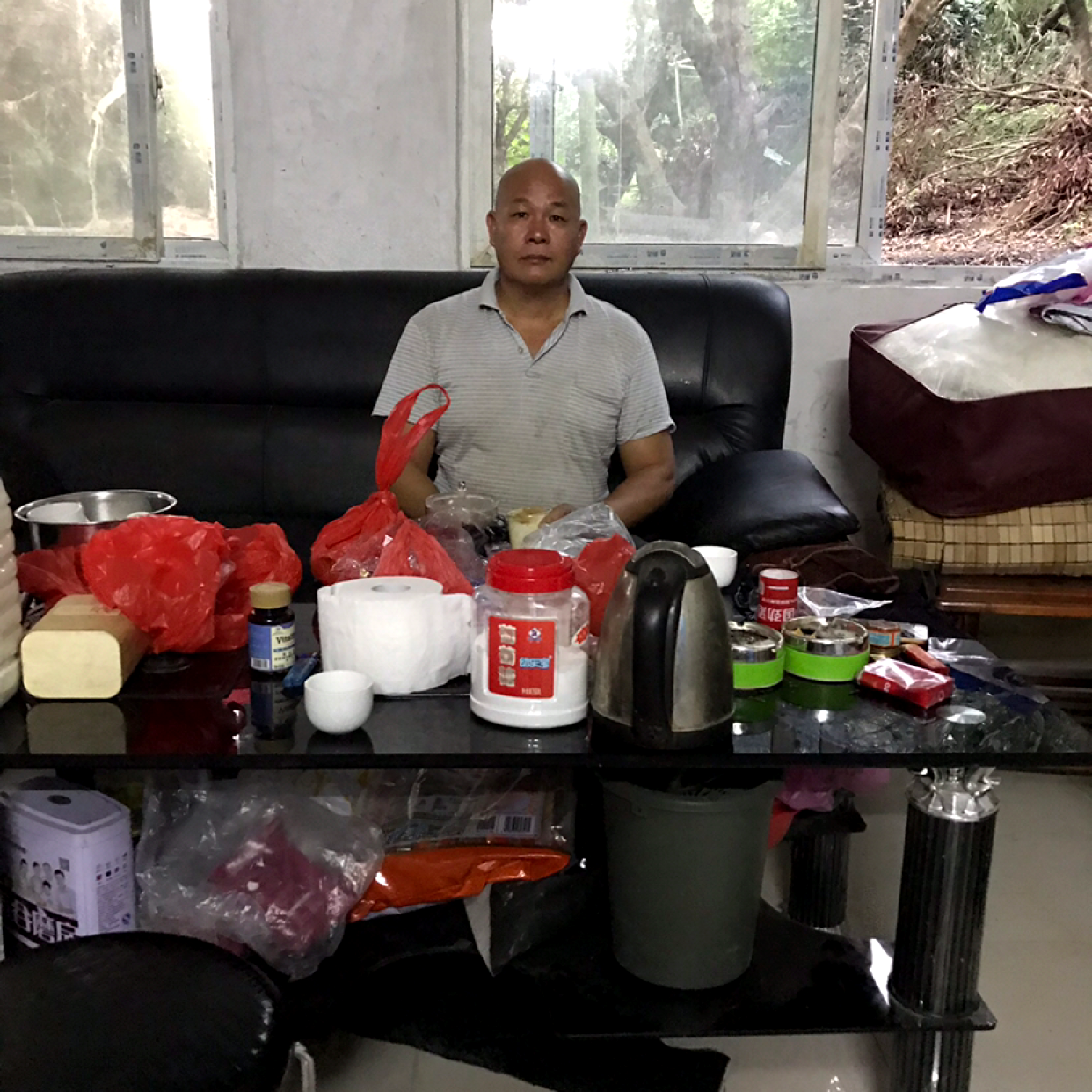 妖娆回眸含羞草的照片