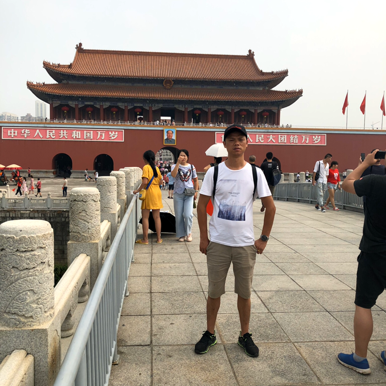 灰狼蹁跹明亮的照片
