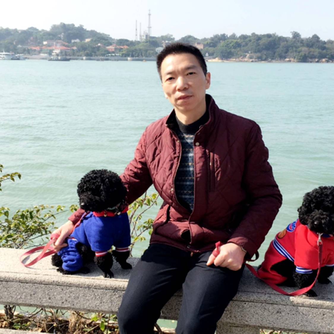 无聊笑春华的照片