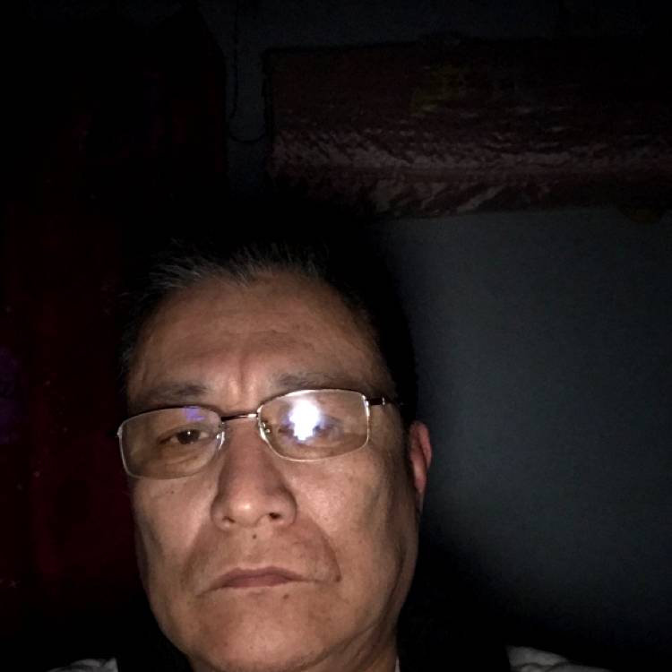 敏捷性和的照片