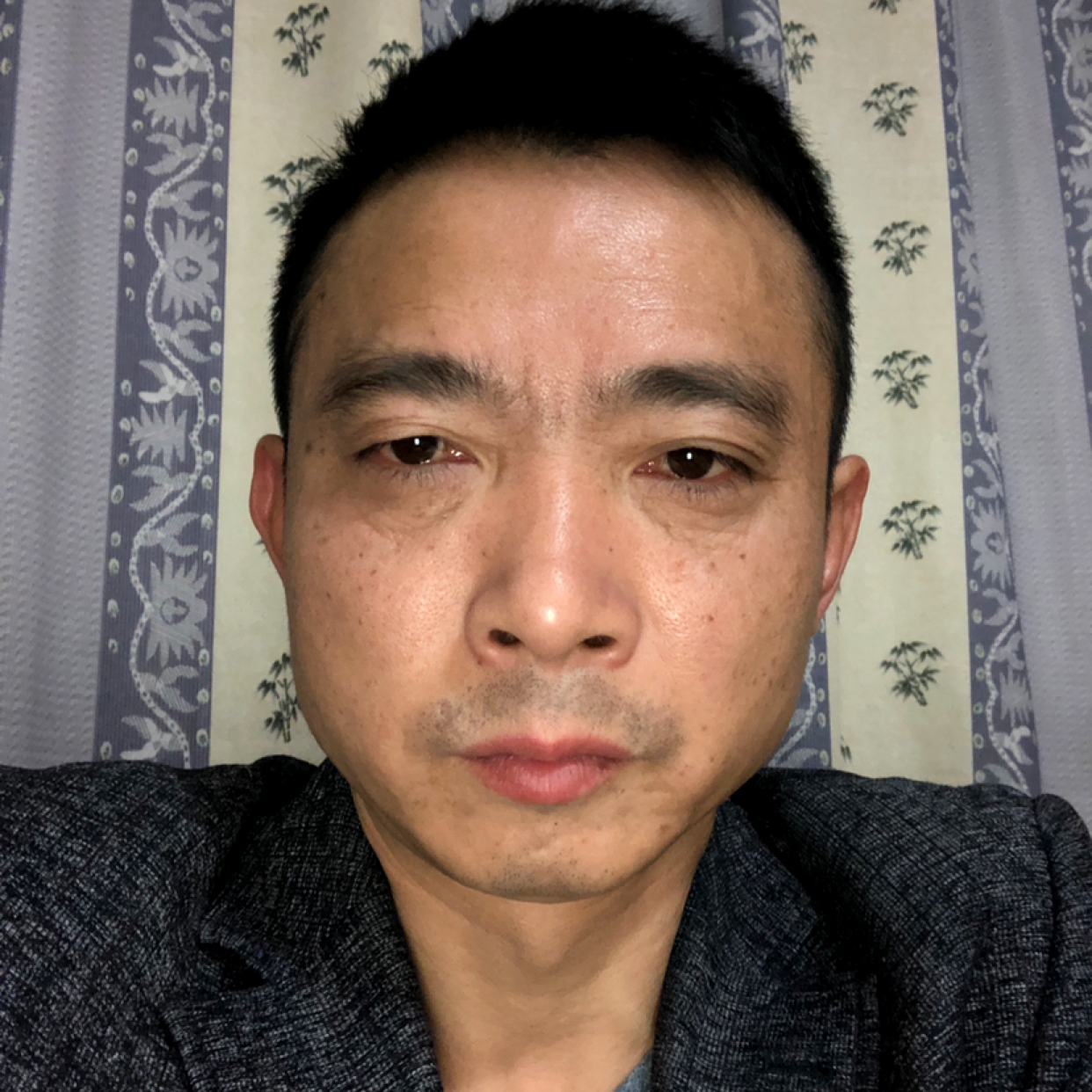 蚂蚁深拥畅快的照片