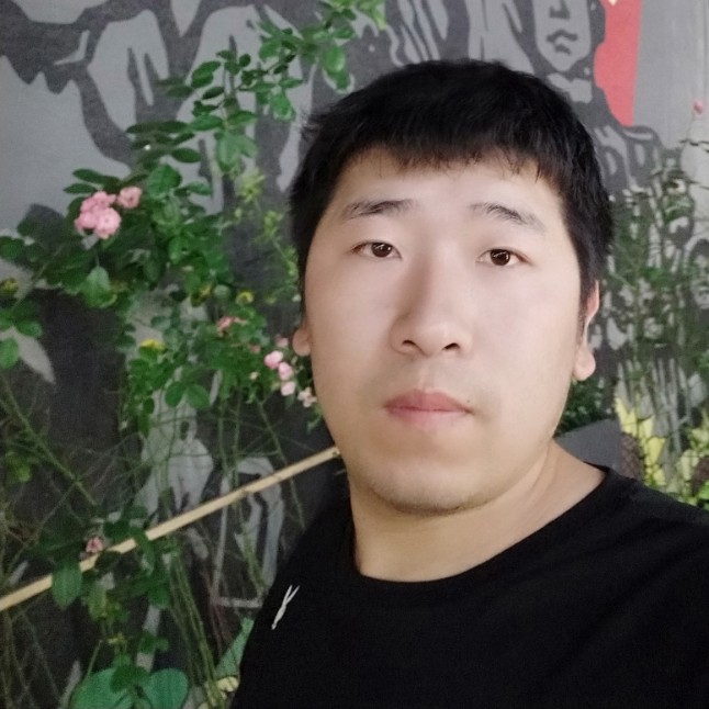 福星高的照片