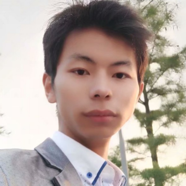 森林中的永林的照片
