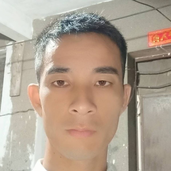 阳光向玫瑰的照片