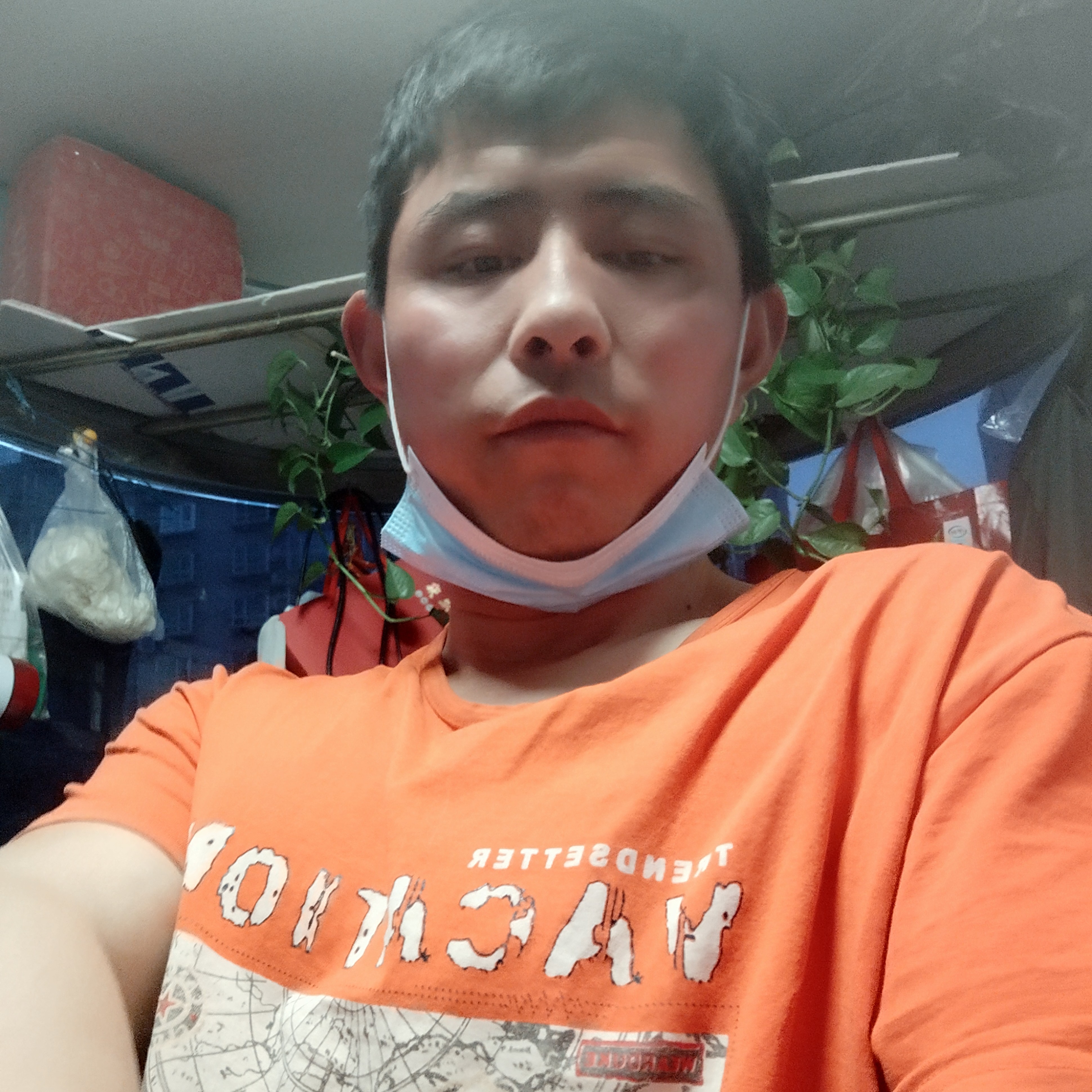 茉莉大方的照片