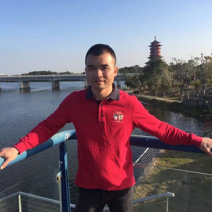 丛林彗星的照片