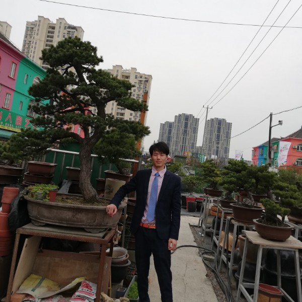 奇奇着急的照片
