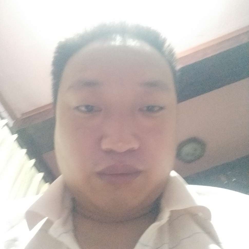 发夹秀丽的照片