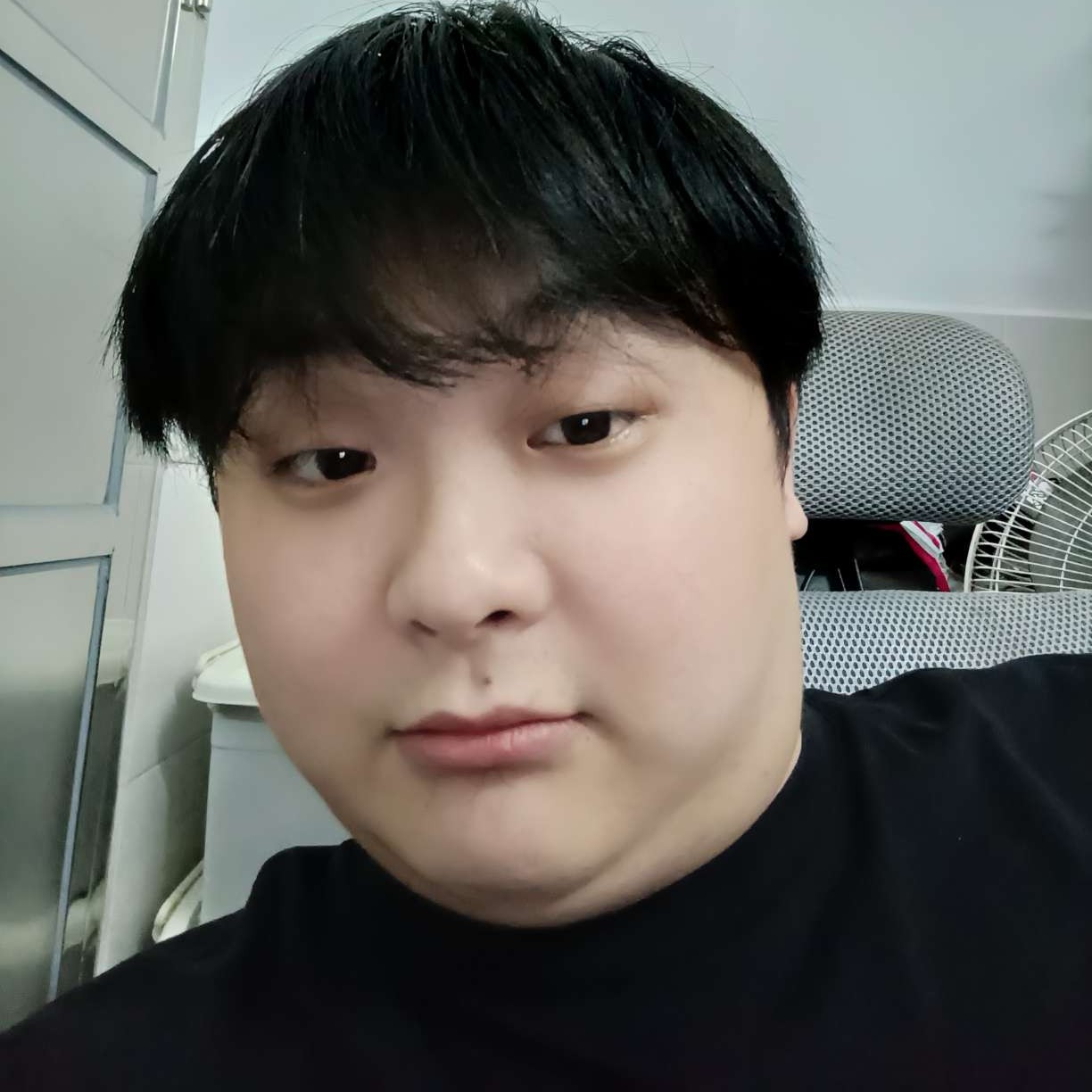 飞不了的麻雀的照片