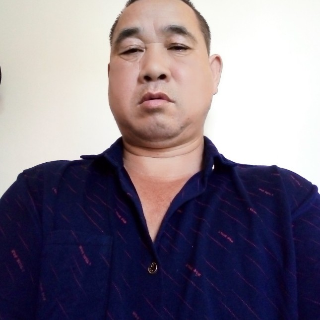 灰狼尊敬的照片