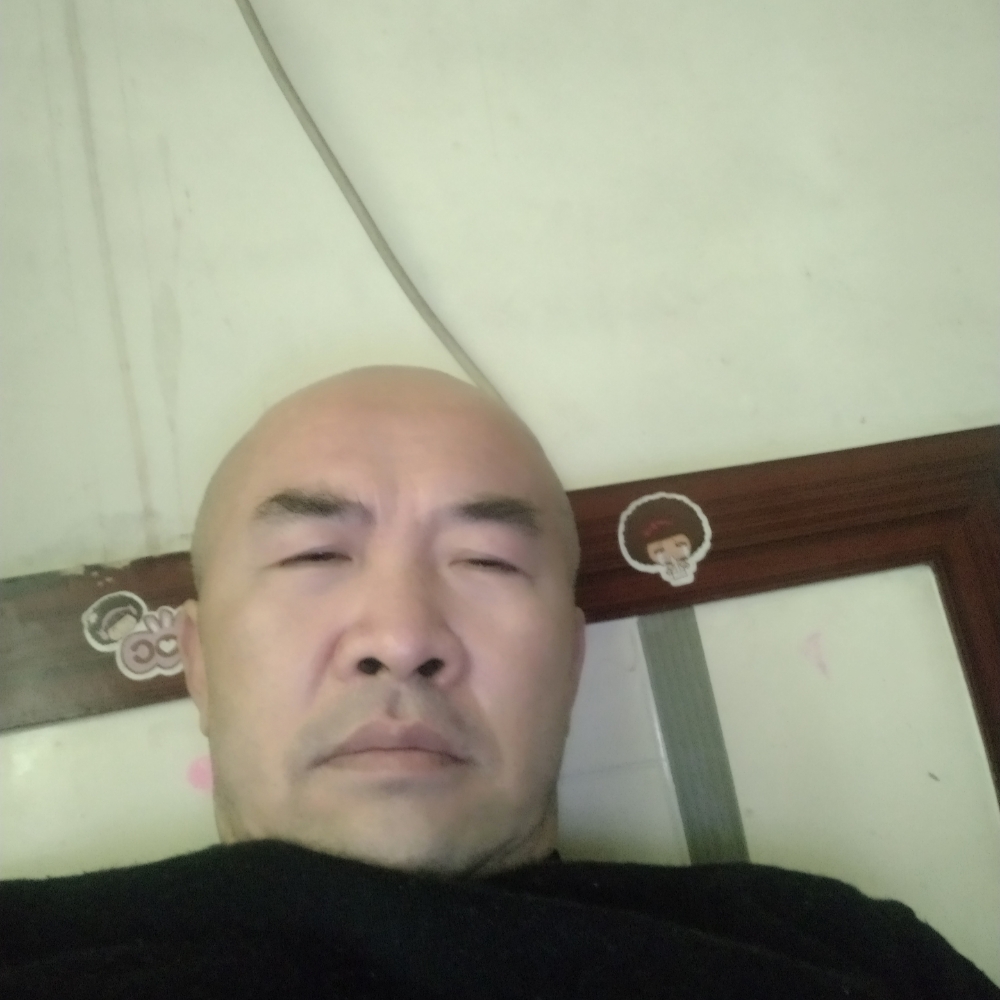 鳗鱼倾心柜子的照片