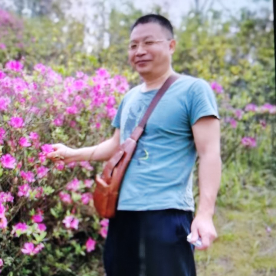 旭日普照的照片