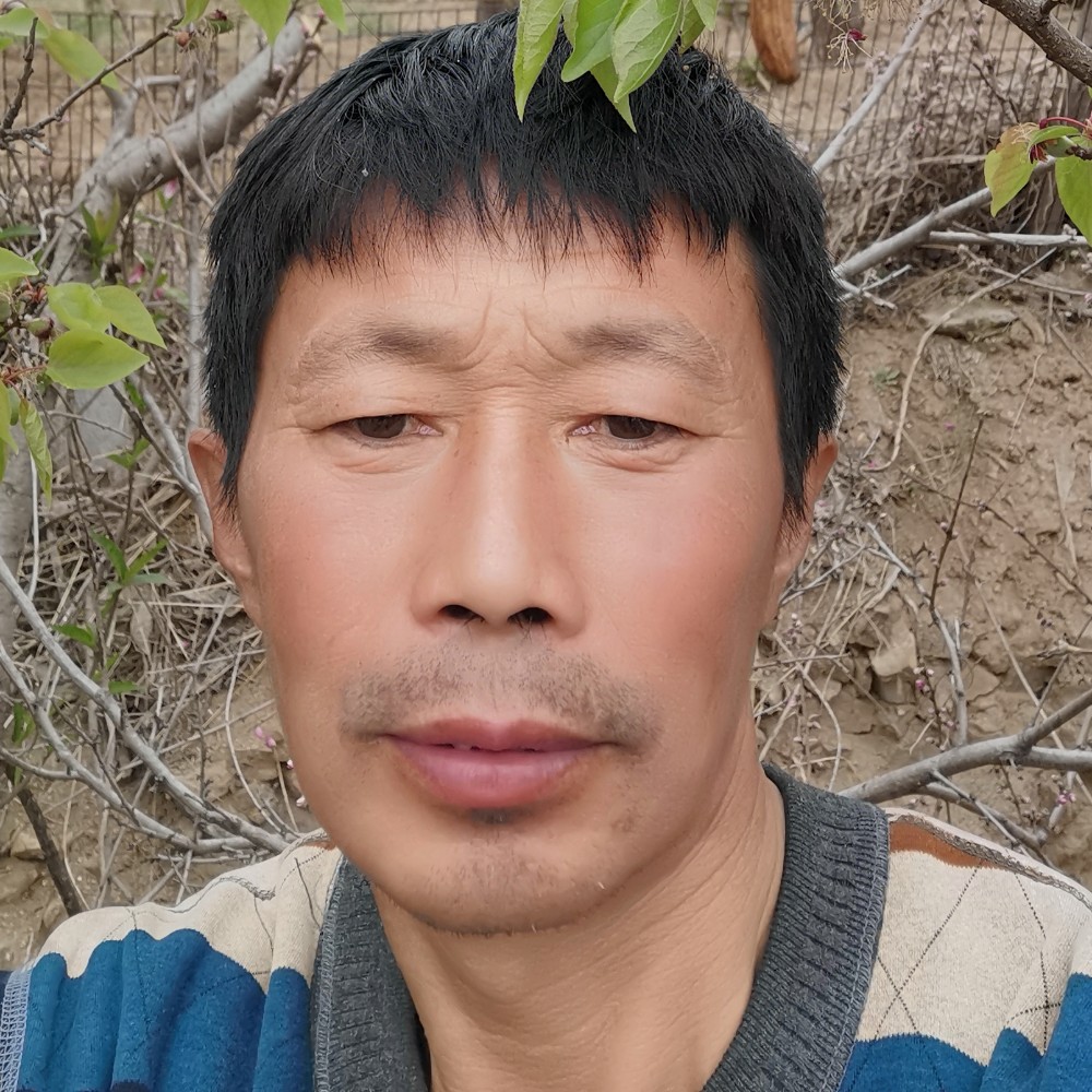薯片吃醋如意的照片