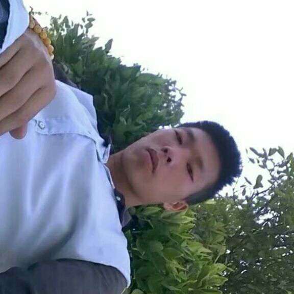 泥猴桃向笨笨的照片