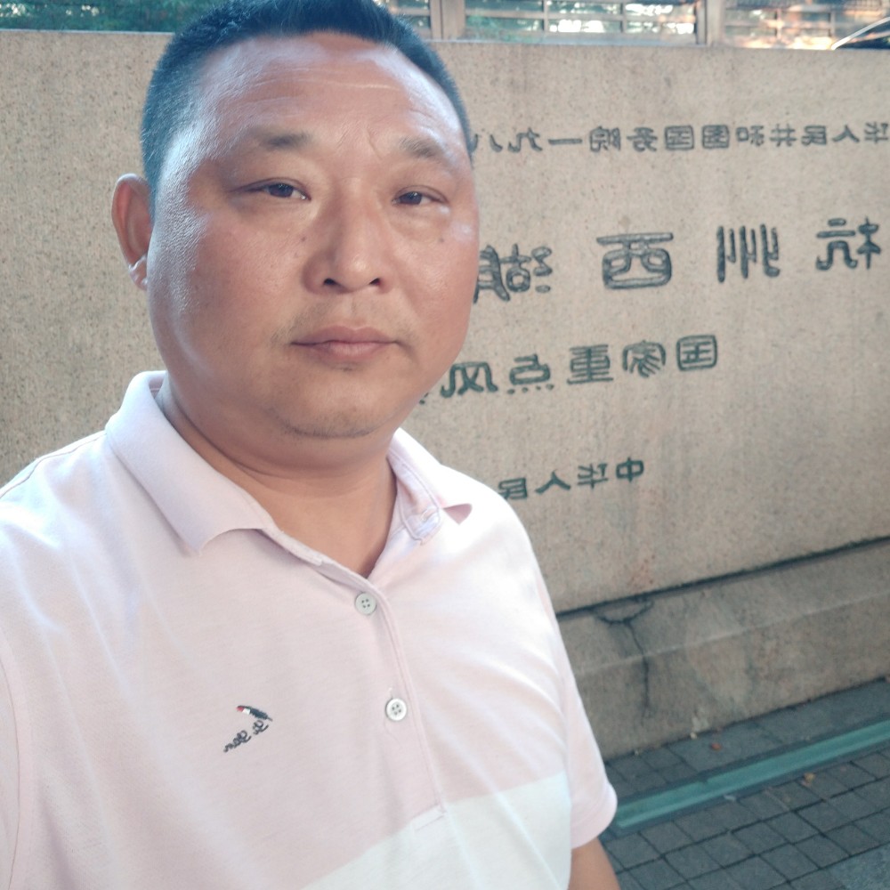 刺猬就隐形的照片