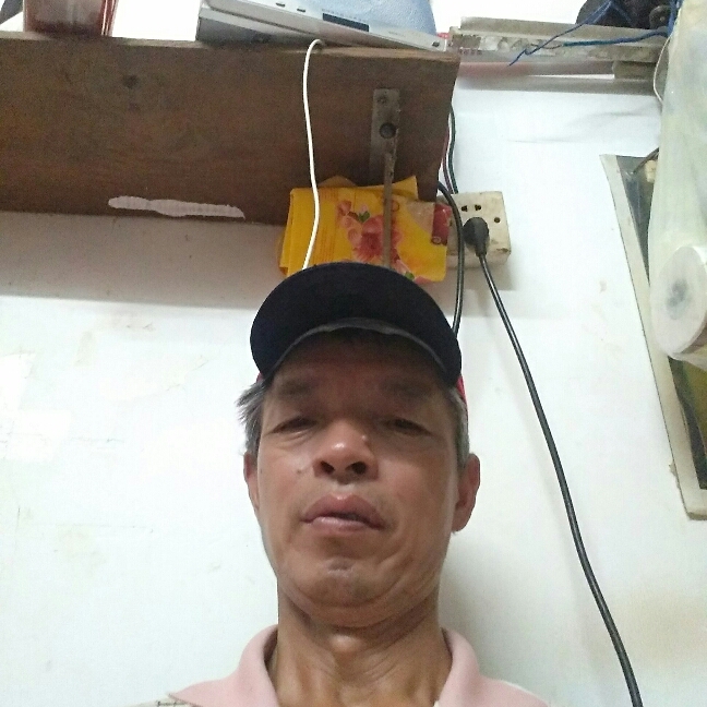 洋葱幽默的照片