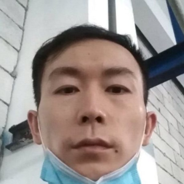 雨后竹林的照片