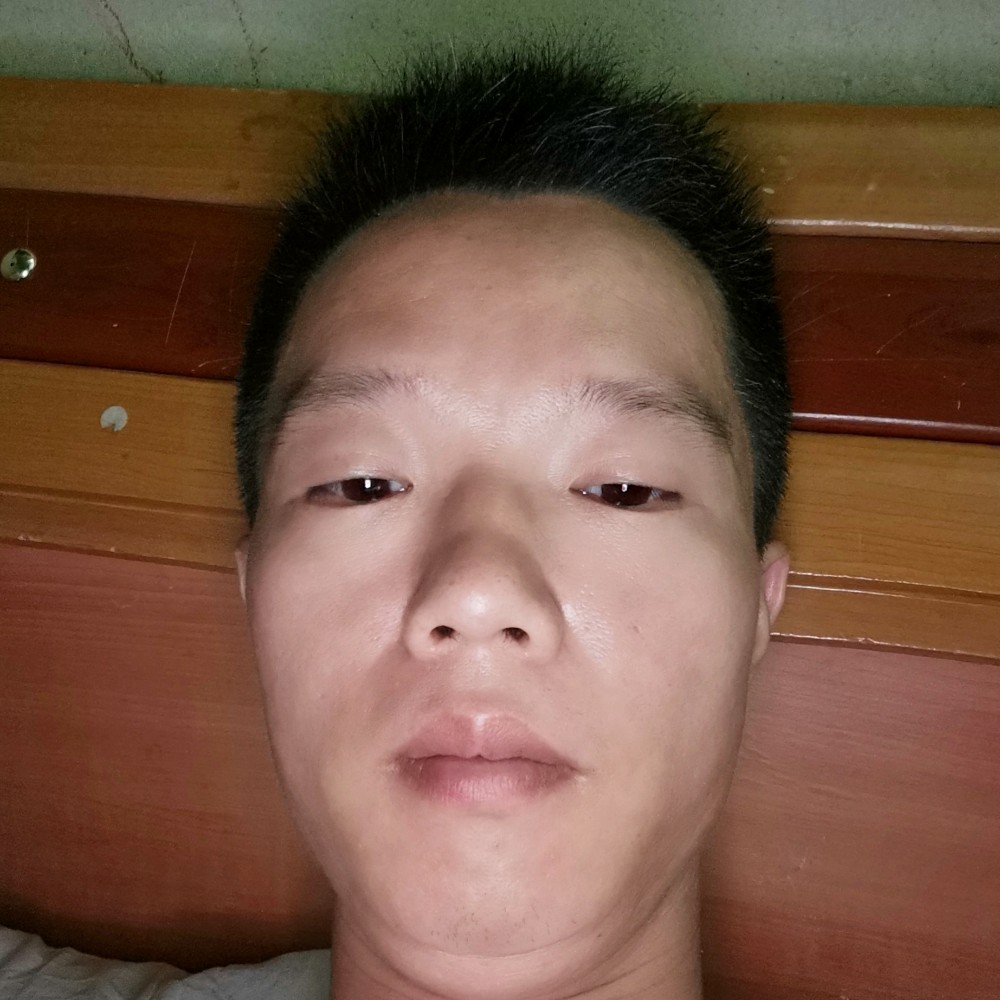 我一直在搬砖的照片