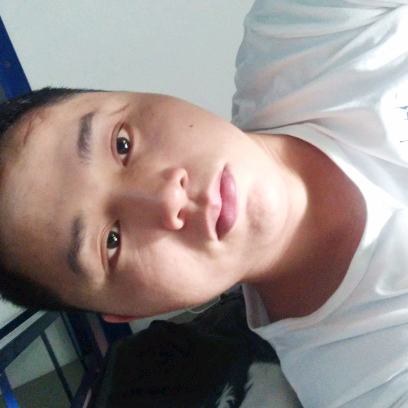 小白菜与典雅的照片