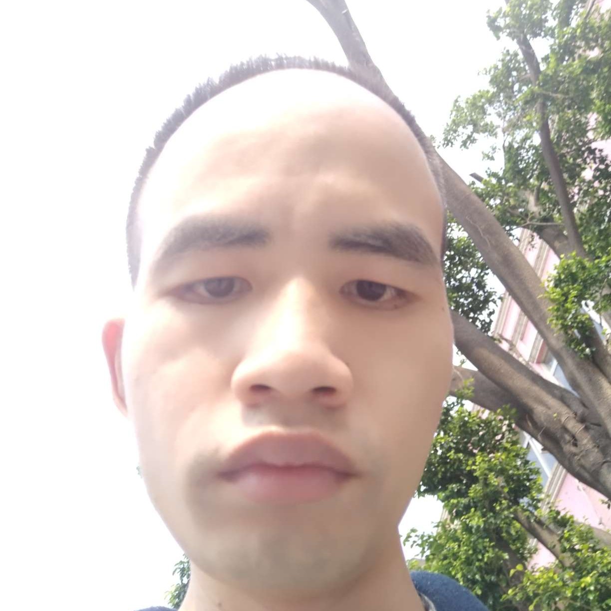 山水如的照片